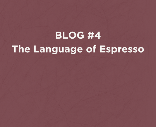 The Language of Espresso | Coffee, Milk & Foam